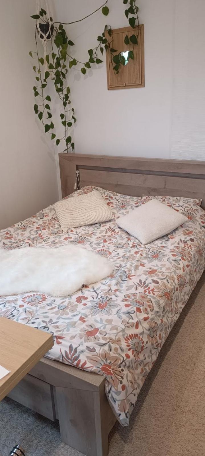 Le Petit Cocon Apartment Montbozon Екстериор снимка